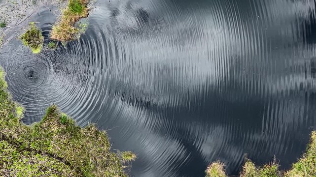 The clouds in the sky reflecting on the deep, still waters of the Karakuyu marshes, the natural grassy shores, and the delicate ripples on the water create a mesmerizing, abstract reflection.