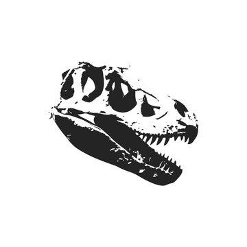 black and white illustration of dinosaur skull fossil hand drawn style vector art