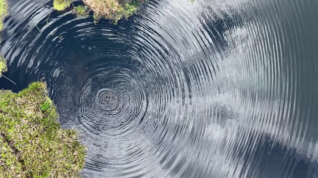 Perfect concentric circles intertwining on the surface of dark, still water, with the sky reflected in it. A meditative drone shot that captures the tranquility and geometric beauty of nature.