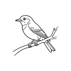 Obraz premium A black and white illustration of a bird perched on a branch isolated on white background