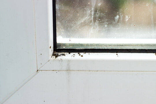 Black mold and mildew on white plastic window frame. Condensation and dampness problem.