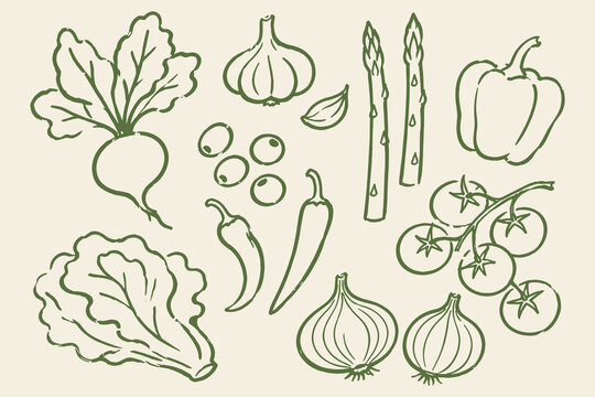 Vegetables set green naive sketch vector illustration