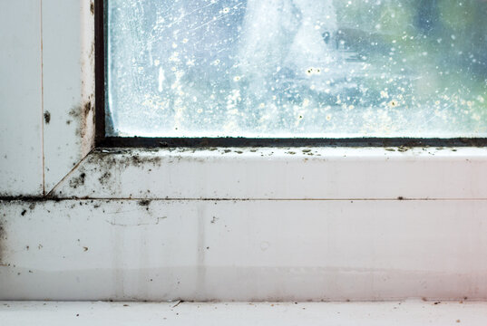 Dirty window with black mold and condensation stains on white frame.