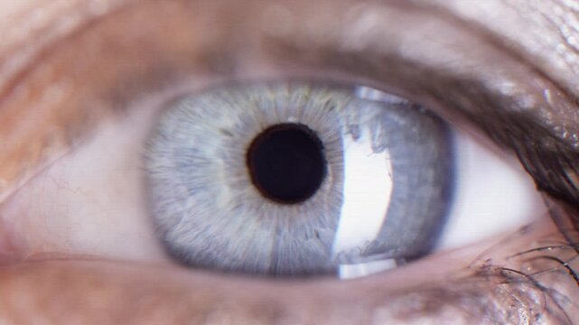 type with words big brother is watching you