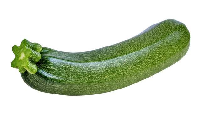 Long green zucchini vegetable with fresh stem and blossom