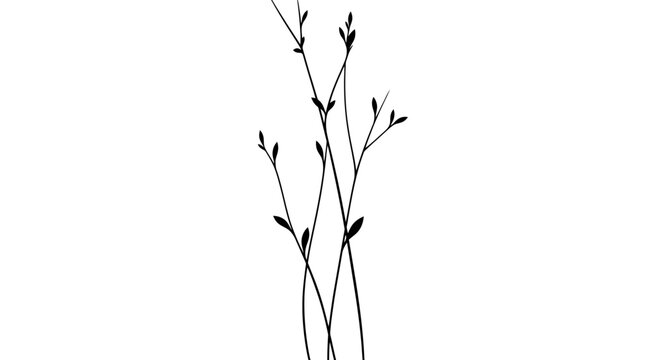 Minimalist Black Twigs with Small Leaves on White Background, Delicate Plant Silhouette