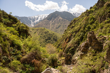 Naklejka premium Beautiful spring landscape of Turgen Valley with rocky path and blooming plants in Almaty region