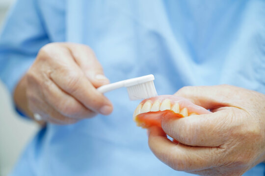 Doctor clean teeth denture with toothbrush for teach patient and dentist studying about dentistry.