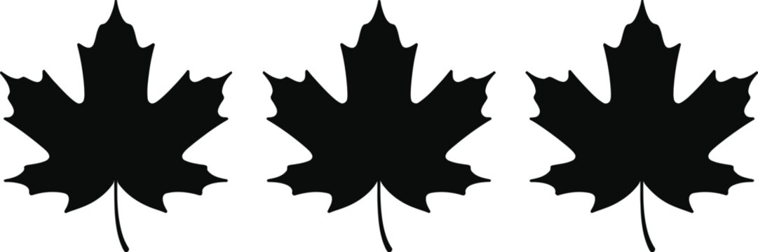 Three black maple leaf silhouettes isolated on white background for autumn season nature themes and Canadian national symbol design projects.