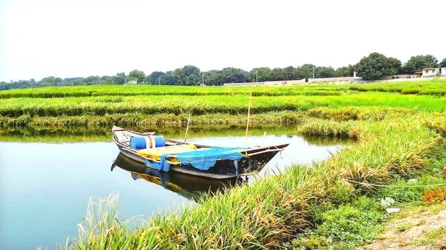 Cinematic 4K high frame rate shot of blue wooden boat parked near grassy riverbank, vibrant colors, natural lighting, still water reflection, rural scenery, calm storytelling composition