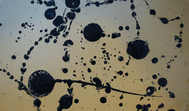 Abstract Background with Black Ink Splashes and Droplets on Light Surface