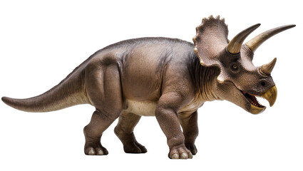 Gray Triceratops Dinosaur Standing with Horns and Frill © Natalia