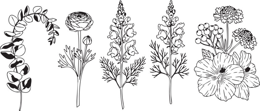Gemini said

Hand-drawn floral vector illustration featuring wheat ears and flower silhouettes with decorative garden branches and spring plant design elements isolated on white background