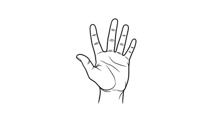 Obraz premium Open Hand Outline Drawing, Five Fingers Raised, White Background