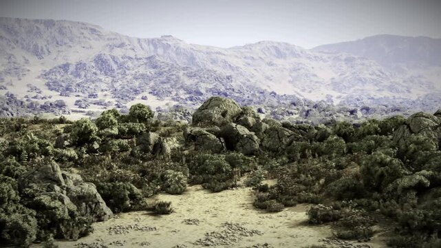 Arid scrubland beneath sunlit mountain ridges, dense low shrubs, stony soil and scattered rocks, warm lateafternoon light creating long shadows, textured