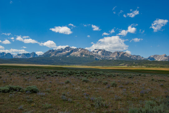 Vast meadow stretches under bright blue sky. Mountains rise with snow-capped peaks in distance. Clouds drift lazily across the horizon. Sparse shrubs dot the earthy terrain