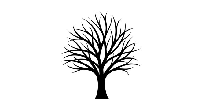 Silhouette of bare tree branches against white background, symbolizing winter or dormancy