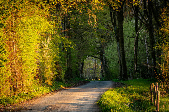 Route de fin de journ&eacute;e