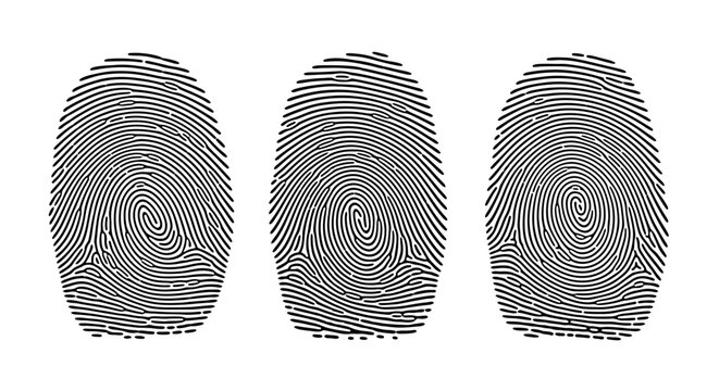 An abstract representation of three identical fingerprints, showcasing the intricate details and patterns of a human's unique identification marks against a clean white background, 