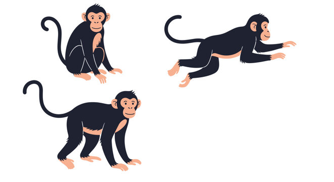 Set of three cartoon chimpanzees in different poses including sitting walking and jumping against a plain white background.