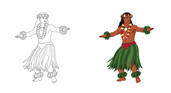 Traditional male Hawaiian hula dancer in a grass skirt and leis, shown in full color and as a black and white sketch.