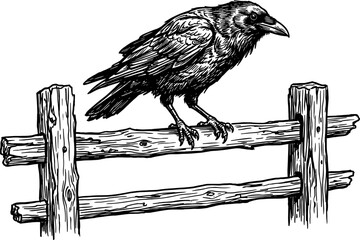 Obraz premium Raven perched on a split rail fence woodcut