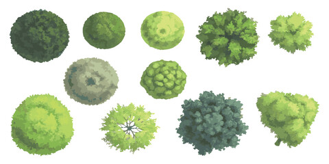 Set of various green trees seen from above for architectural landscape design © ZenVectors