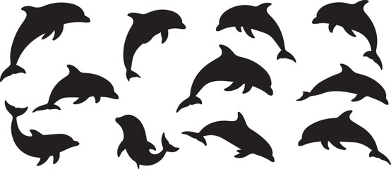 Obraz premium Dollfin fish vector illustration 