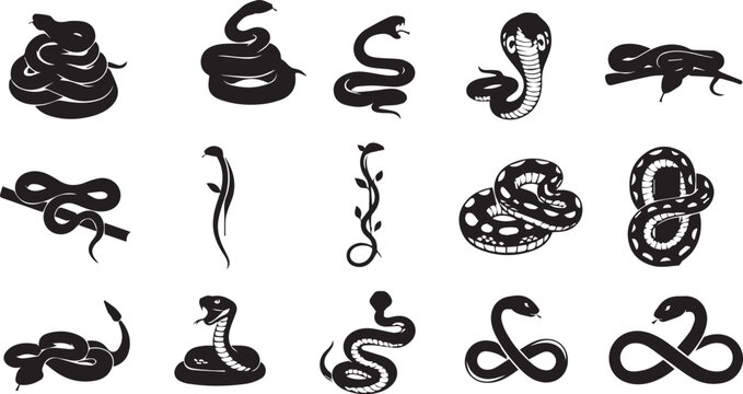 Snake Vector illustration 