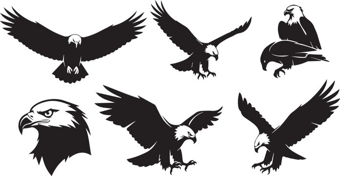 Eagle flying vector illustration 
