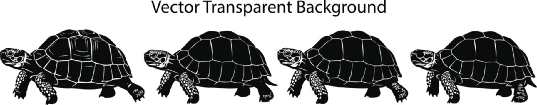 Tortoise Silhouette Vector Transparent Background