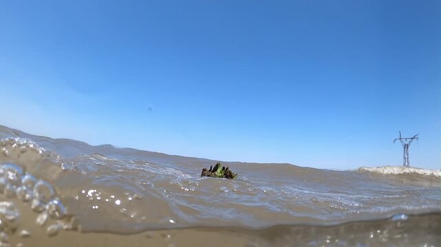 A unique half underwater view captures small rolling waves in a murky lake. A piece of driftwood sticks out while mountains and trees line the distant sandy shore.

