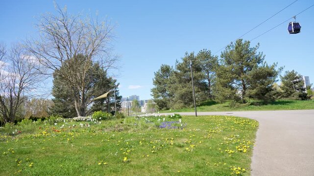 Urban spring park with cable car above a meadow. Dandelion, grape hyacinth, tulips and trees bloom under a clear blue sky.