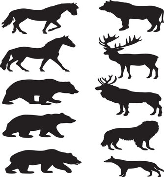 silhouettes of wildlife