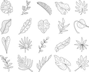 Hand drawn Tropical Leaves ©  Artisan Graph