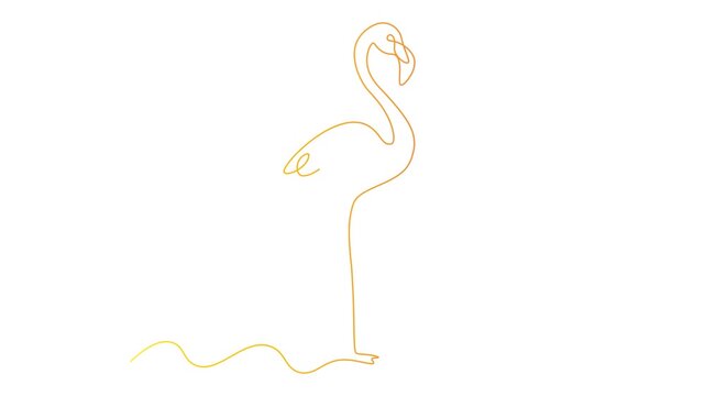 Continuous one line of a flamingo in editable stroke, style hand drawing vector illustration.
