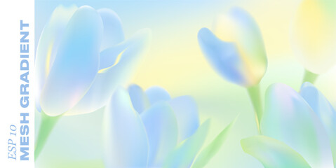 Gentle spring background features blooming tulip petals in pastel gradient. Fresh floral design with soft bokeh effect perfect for romantic Easter greeting cards and banners © zzayko