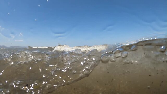 A unique half underwater view captures small rolling waves in a murky lake. A piece of driftwood sticks out while mountains and trees line the distant sandy shore.

