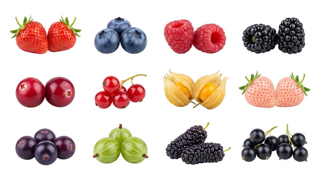 Fresh organic berry collection with strawberry raspberry and blueberry isolated on white background. Assorted forest fruits set for healthy lifestyle marketing and food packaging design.