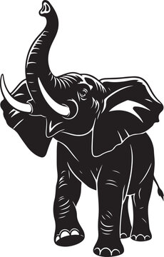 Black elephant with raised trunk