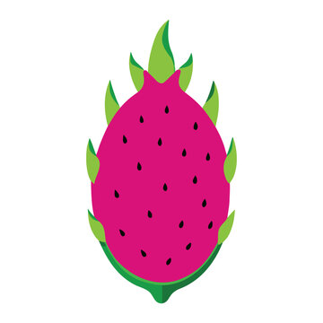 Minimalist Dragon Fruit Cartoon Vector Illustration Fresh Design