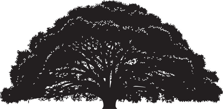 Tree silhouette, black tree icon, tree vector, landscape element