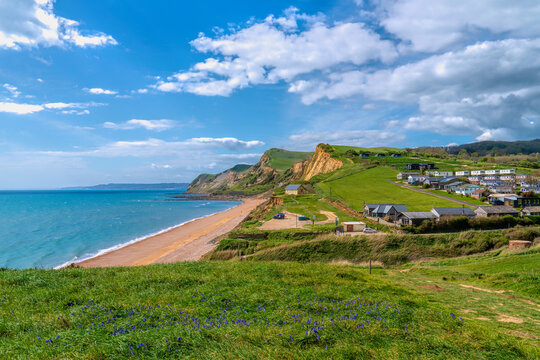 Eype Dorset Spring Wildflowers Overlooking the Jurassic Coast England UK
