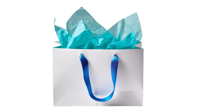 White Paper Gift Bag with Blue Tissue Paper Inside
