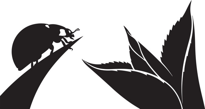 Black beetle, leafy plant, silhouette icons, vector graphics, insect, foliage