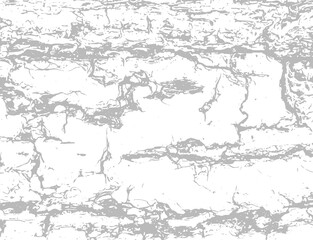 Obraz premium Grunge texture of old wood