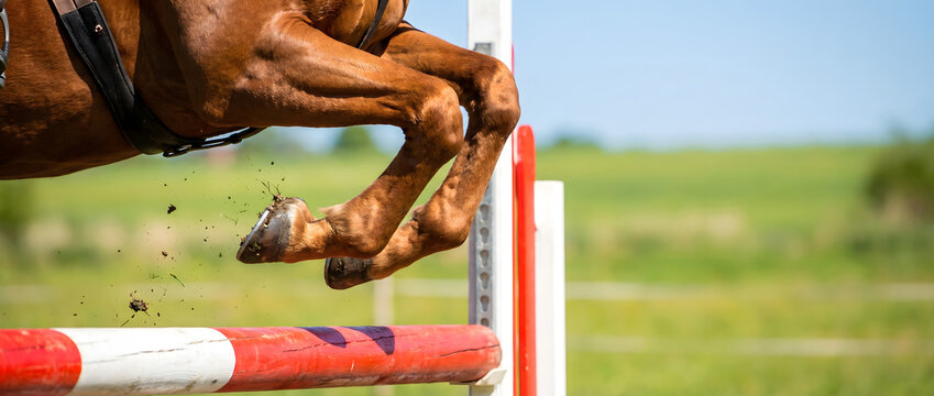 Brown horse leaping over a red and white obstacle in mid-air with flying dirt and dynamic motion