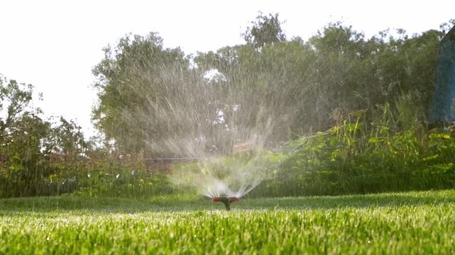 Sprinkler waters lush green lawn. Trees frame bright, sunny backdrop. Garden irrigation in motion. Natural, tranquil, peaceful setting. Ideal for gardening, landscaping, or water conservation themes