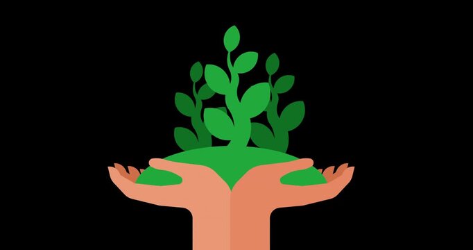 Two hands gently cradle a small green plant. Plant grows upward with fresh leaves. Symbolizes care, sustainability, and environmental protection