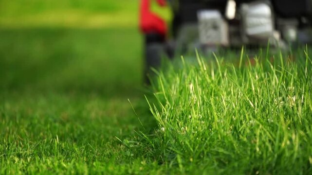 Lawn mower cuts vibrant green grass. Fuzzy blades move forward with precision. Sunlight highlights each blade's motion. Gentle breeze stirs freshly cut grass